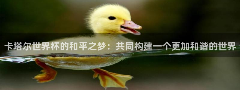 2026世界杯官网入口：卡塔尔世界杯的和平之梦：共同构建一个更加和谐的世界
