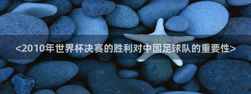 欧洲区世界杯预选赛：<2010年世界杯决赛的胜利对中国足球队的重要性>