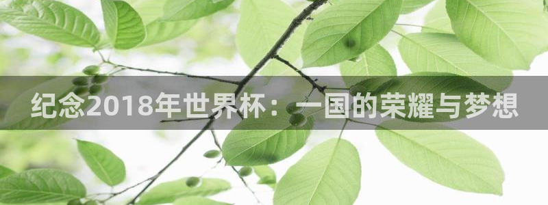 世界杯直播：纪念2018年世界杯：一国的荣耀与梦想