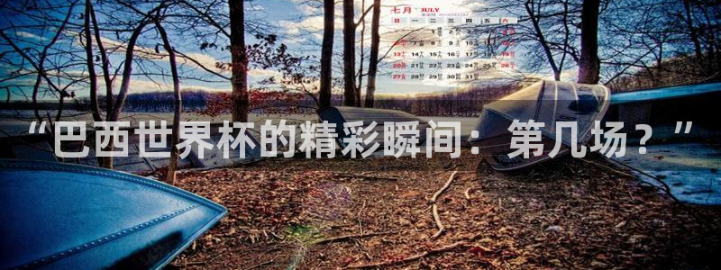 世界杯足球赛2026:“巴西世界杯的精彩瞬间:第几场?”