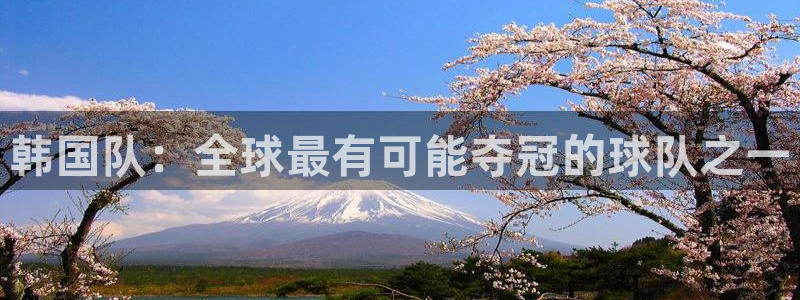 世界杯预选赛欧洲赛区积分榜：韩国队：全球最有可能夺冠的球队之一