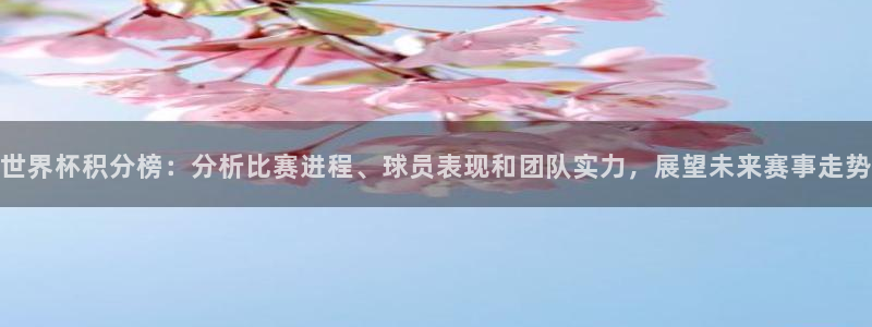 世界杯预选赛欧洲：世界杯积分榜：分析比赛进程、球员表现和团队实力，展望未来赛事走势