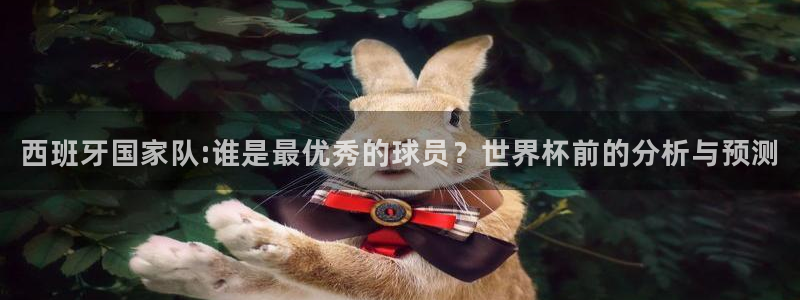 世界杯预选赛欧洲：西班牙国家队:谁是最优秀的球员？世界杯前的分析与预测