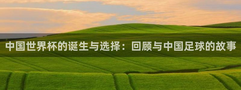 世界杯系列赛:中国世界杯的诞生与选择:回顾与中国足球的故事