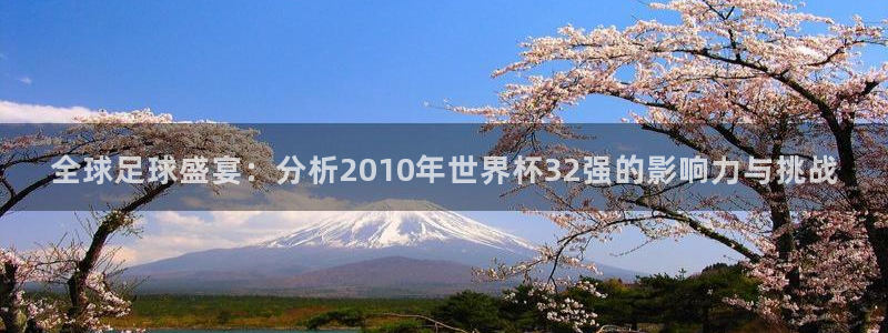 世界杯官网：全球足球盛宴：分析2010年世界杯32强的影响力与挑战
