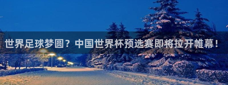 世界杯小组赛赛程：世界足球梦圆？中国世界杯预选赛即将拉开帷幕！